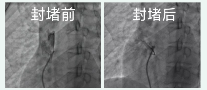 微信图片_20260520155540.png